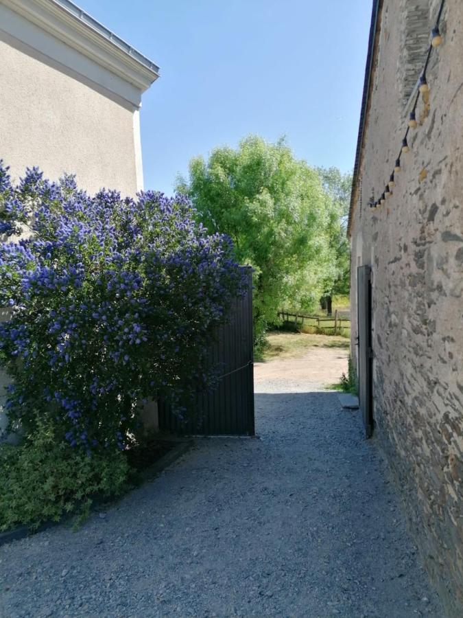 La Petite Boire - Chambres D'Hotes Pres D'Angers Murs-Erigne 외부 사진