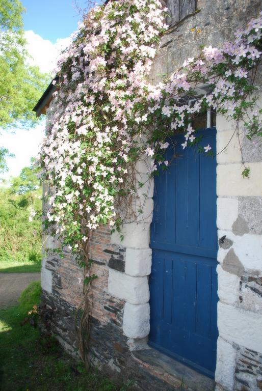 La Petite Boire - Chambres D'Hotes Pres D'Angers Murs-Erigne 외부 사진